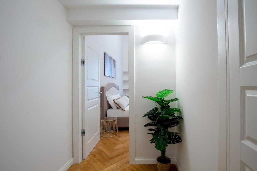 Dimora Nuvola Apartament Florence Buitenkant foto